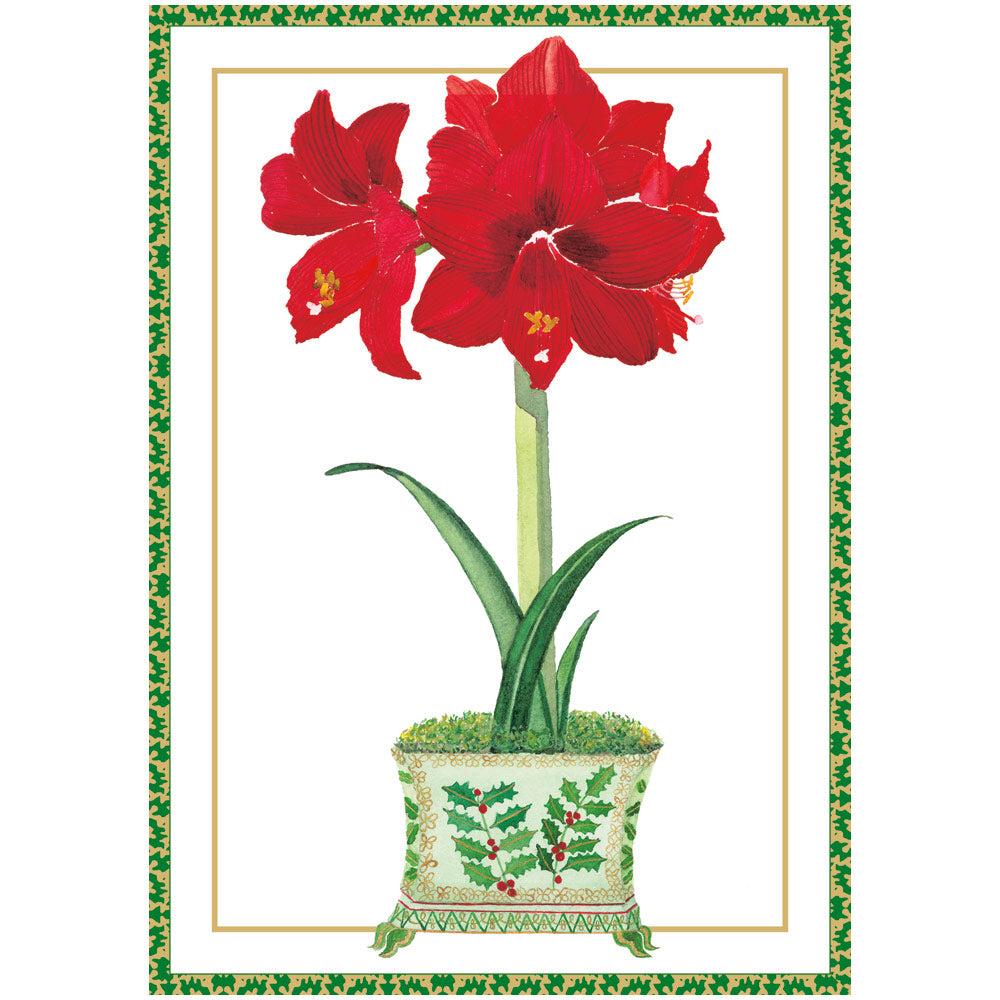 Amaryllis In Holly Pot Boxed Christmas Cards, Set of 16