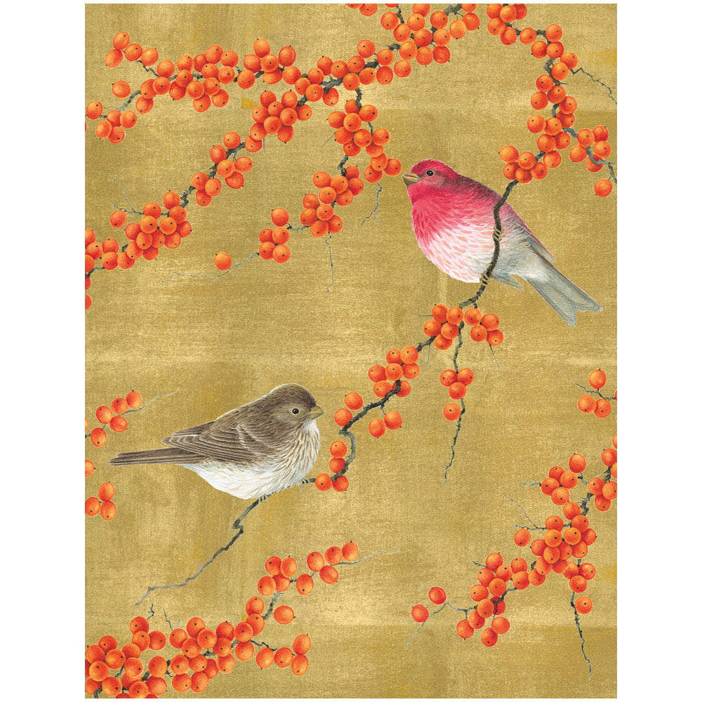 Birds And Berry Branches Boxed Christmas Cards, Set of 16