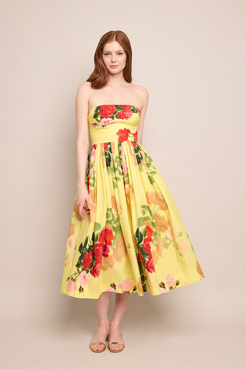 Daria Dress in Le Rose Yellow