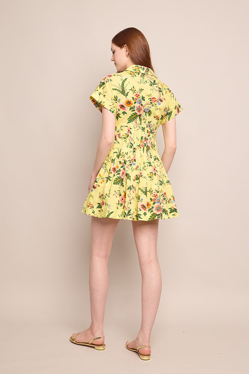 Nash Mini Dress in Chintz Yellow