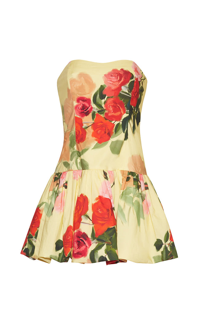 Elena Dress in Le Rose Yellow