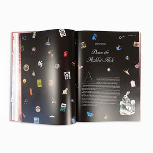 Alice in Wonderland Art Novel Collector’s Edition