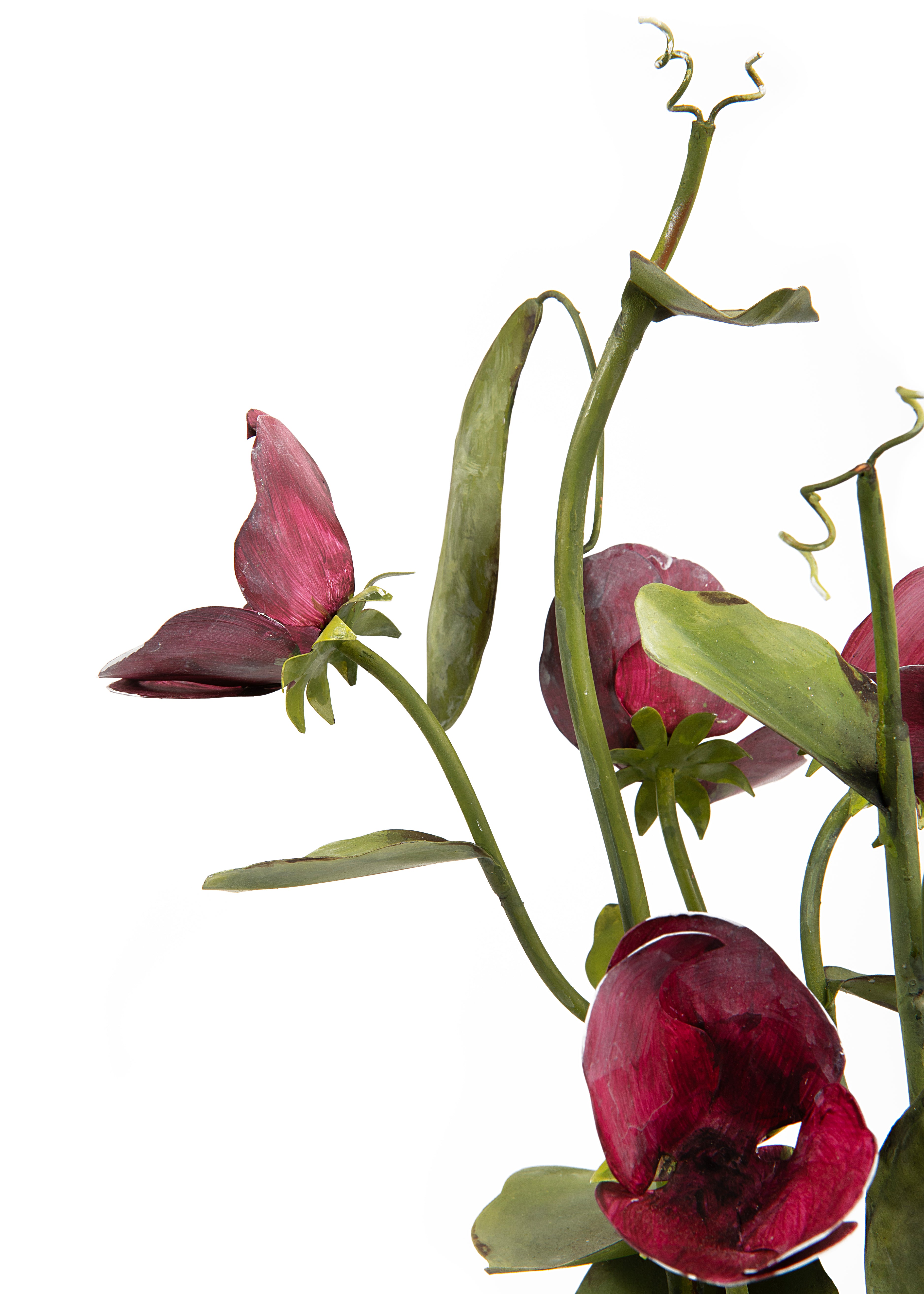 Tole Flower Potted Sweet Pea