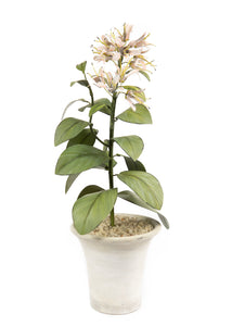 Tole Flower Standard Fressia