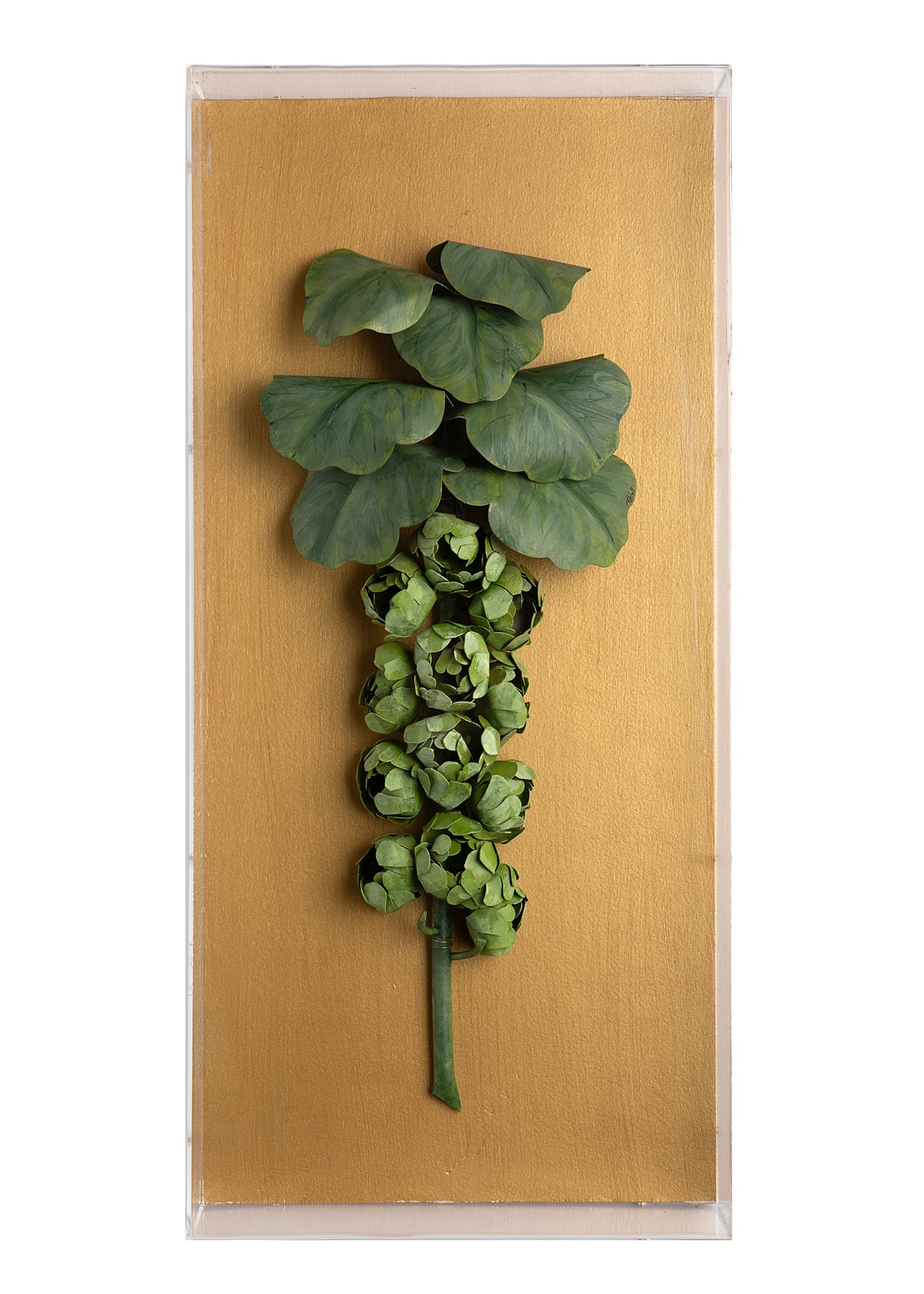 Large Vegetable Study Brussels Sprouts On Gilded Linen