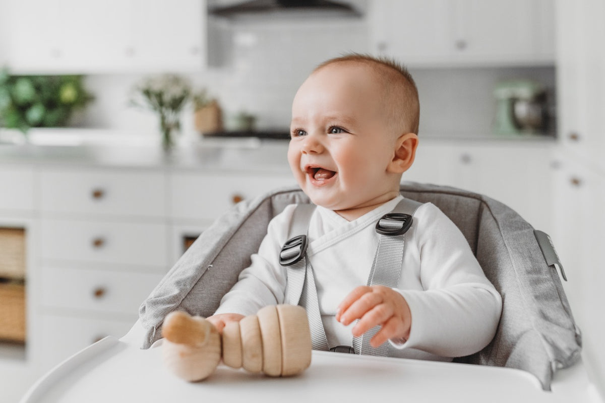 BÉABA Up & Down High Chair with Cushion in Grey