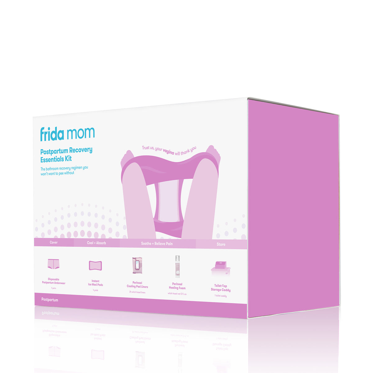 Frida Mom Labor & Delivery + Postpartum Essentials Complete Kit