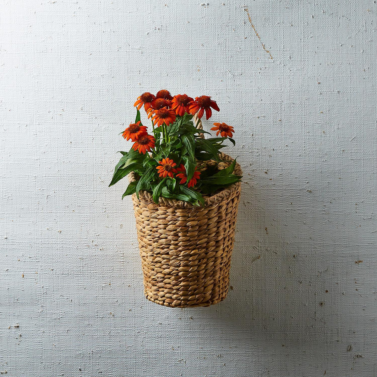 Rice Nut Weave Hanging Storage / Planter Basket