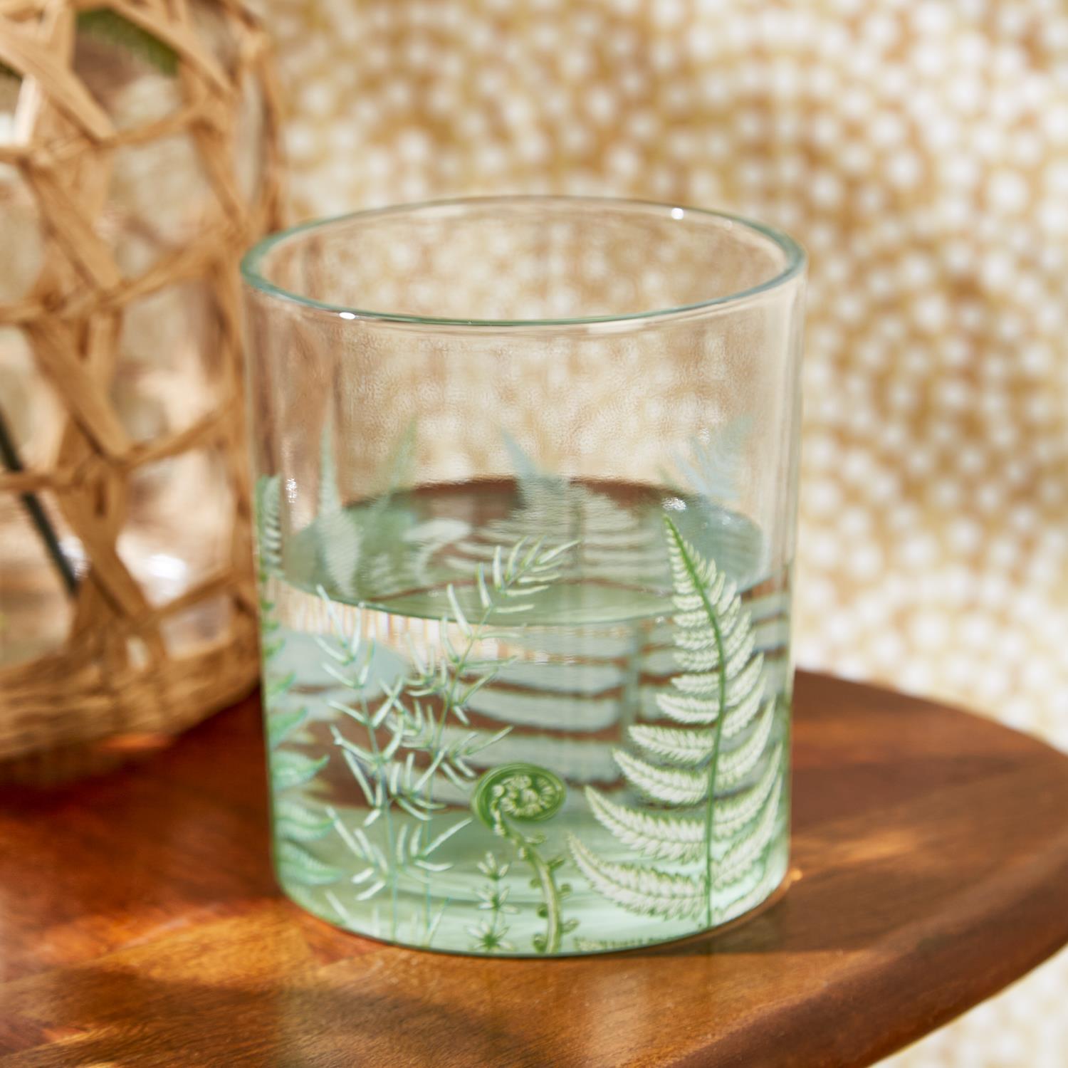 Fern Double Old Fashion in Gift Box