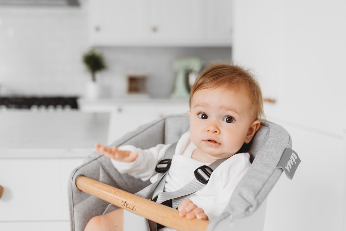 BÉABA Up & Down High Chair with Cushion in Grey