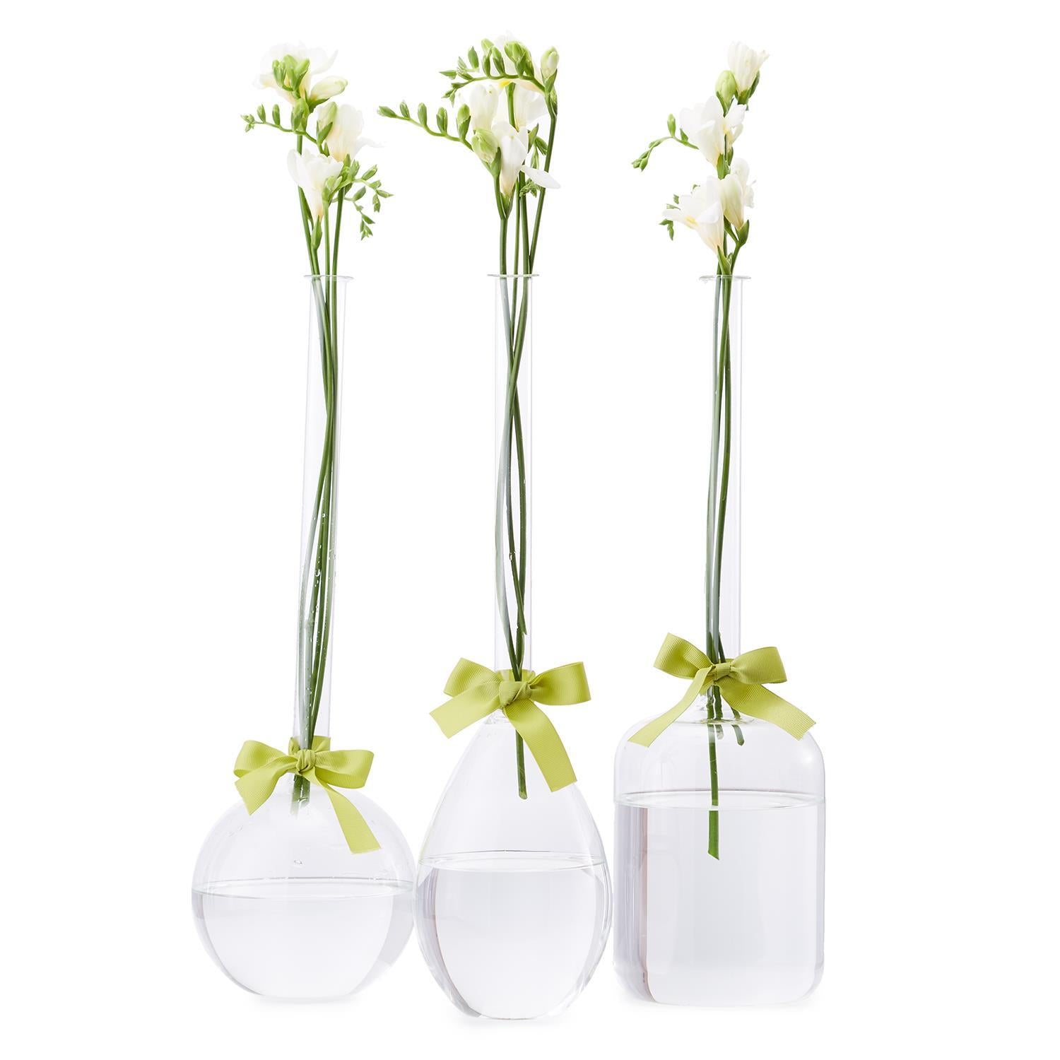 Sleek & Chic Vase Trio with Green Ribbon