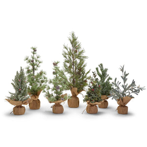 Frosted Evergreens Holiday Tree, Set of 7