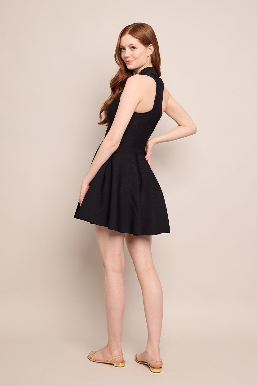 Braylee Mini Dress in Black