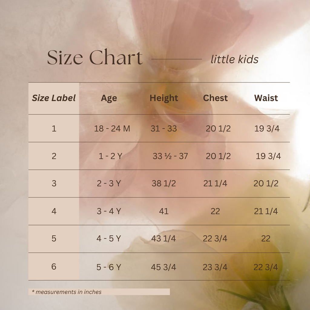Little Lady Field Dress in White with Embroidery