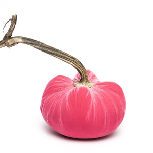 Bubblegum Silk Velvet Pumpkin