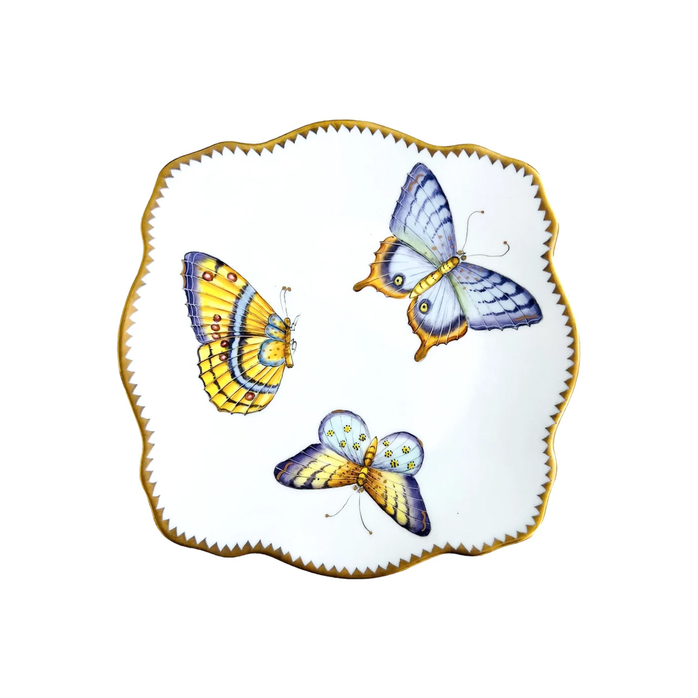 Butterflies! B&B in Multi