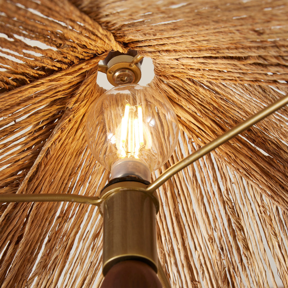 lightbulb
