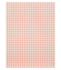 Cozy Gingham Powder Blanket