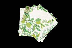 Matouk Schumacher Citrus Garden Napkin in Grass, Set of 4