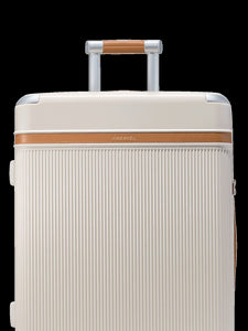 Aviator Grand Checked Luggage