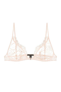 Scalloped sheer lace demi bra flat lay