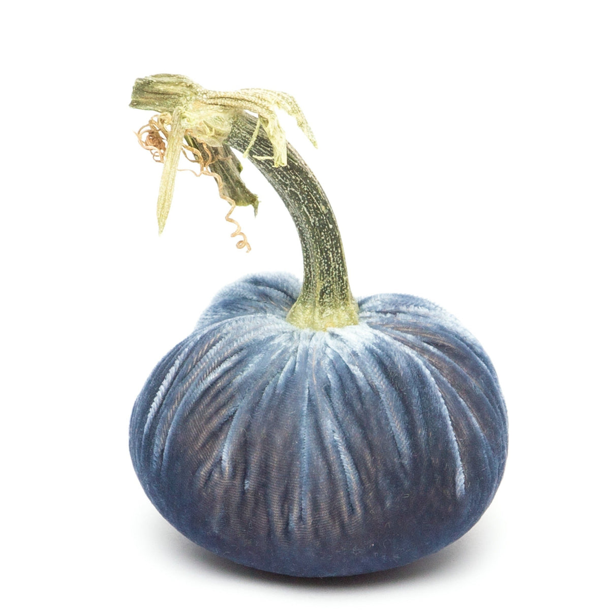 Denim Silk Velvet Pumpkin