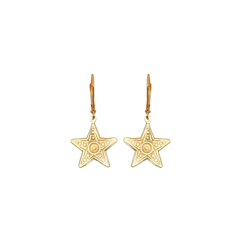 Small Star Earrings