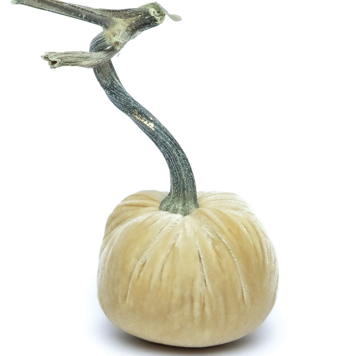 Husk Silk Velvet Pumpkin