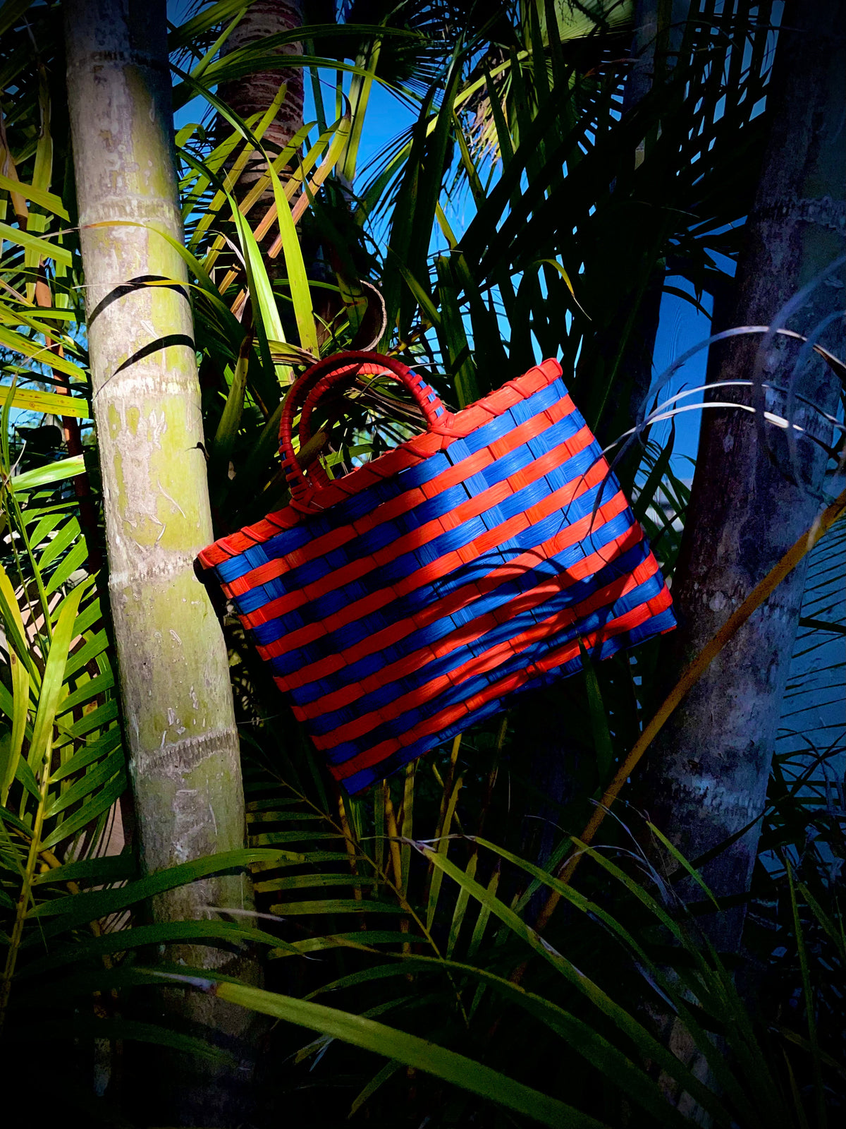 Retro-Travel Tote in Royal Blue & Tiger Lily