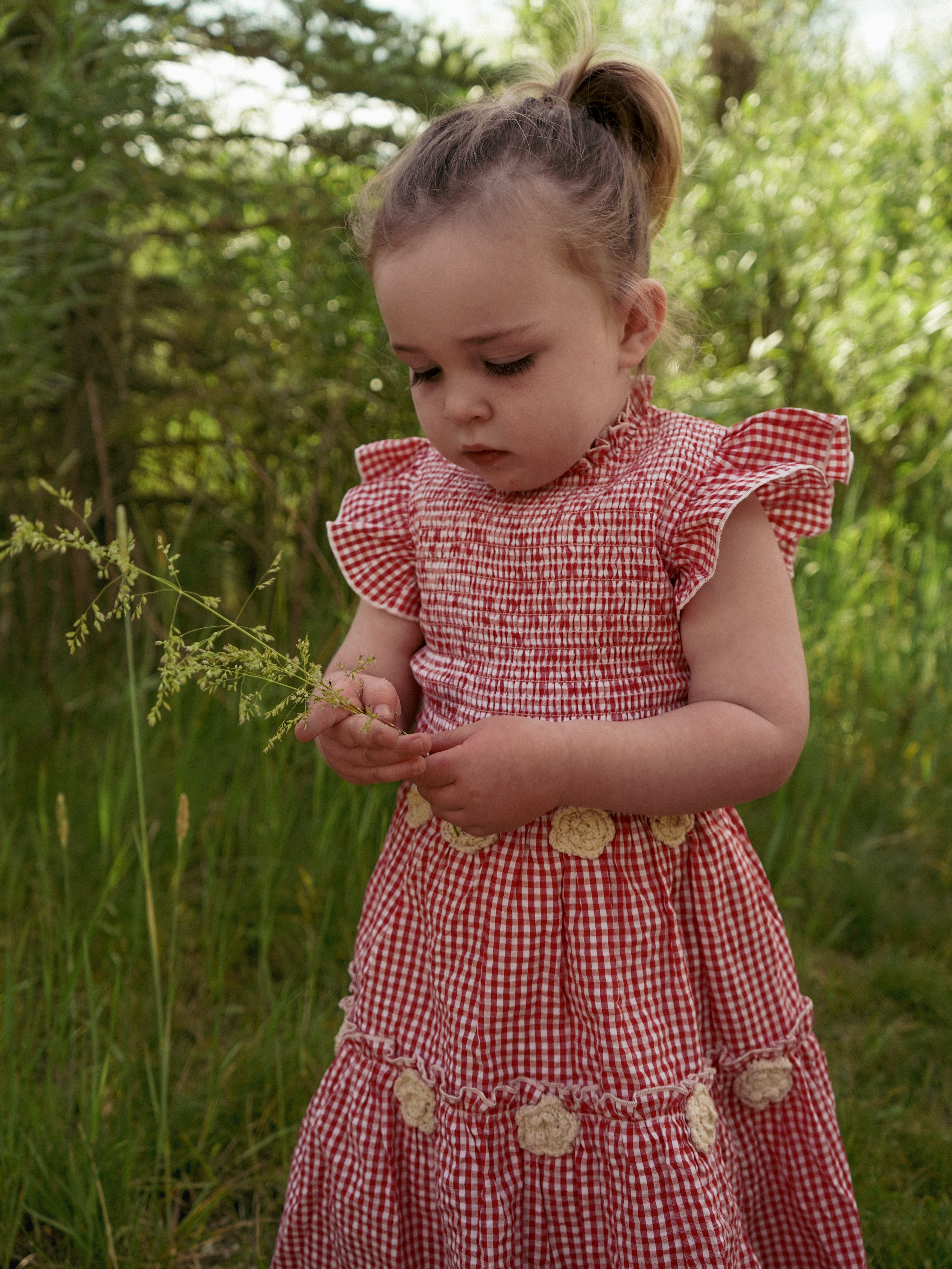 Little Lady Field Dress in Red Gingham