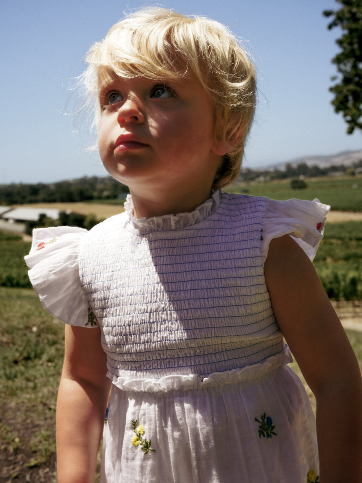 Little Lady Field Dress in White with Embroidery