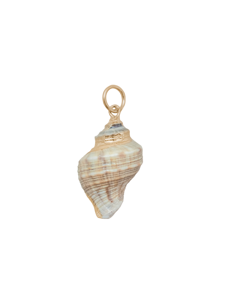 Medium Spiral Shell Charm in Multi