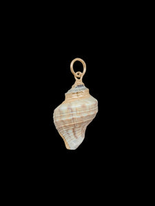 Medium Spiral Shell Charm in Multi