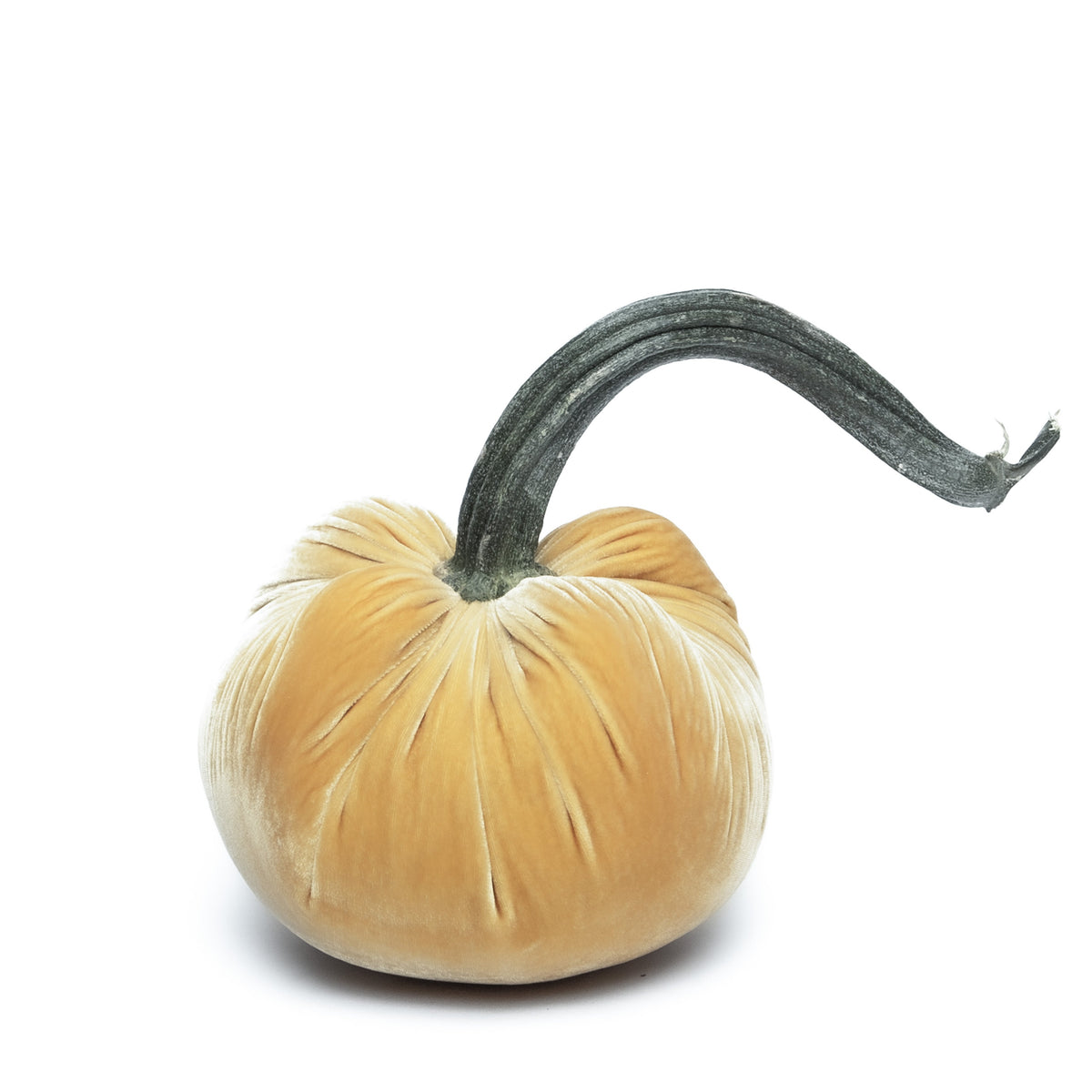 Maize Silk Velvet Pumpkin