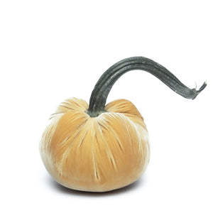 Maize Silk Velvet Pumpkin