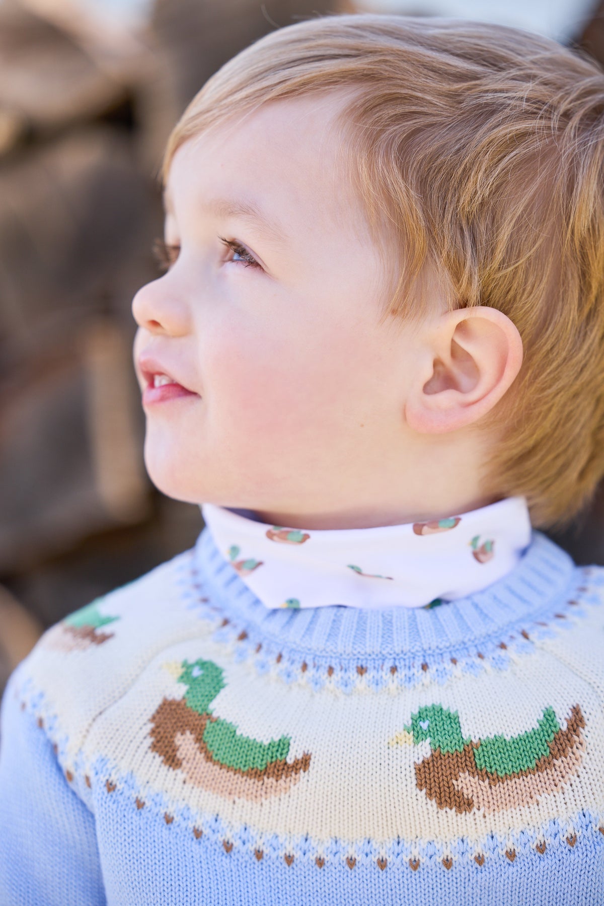 little english classic children's clothing light blue fair isle sweater with mallards along neck, printed turtleneck with mallard pattern, boy outfits for fall 