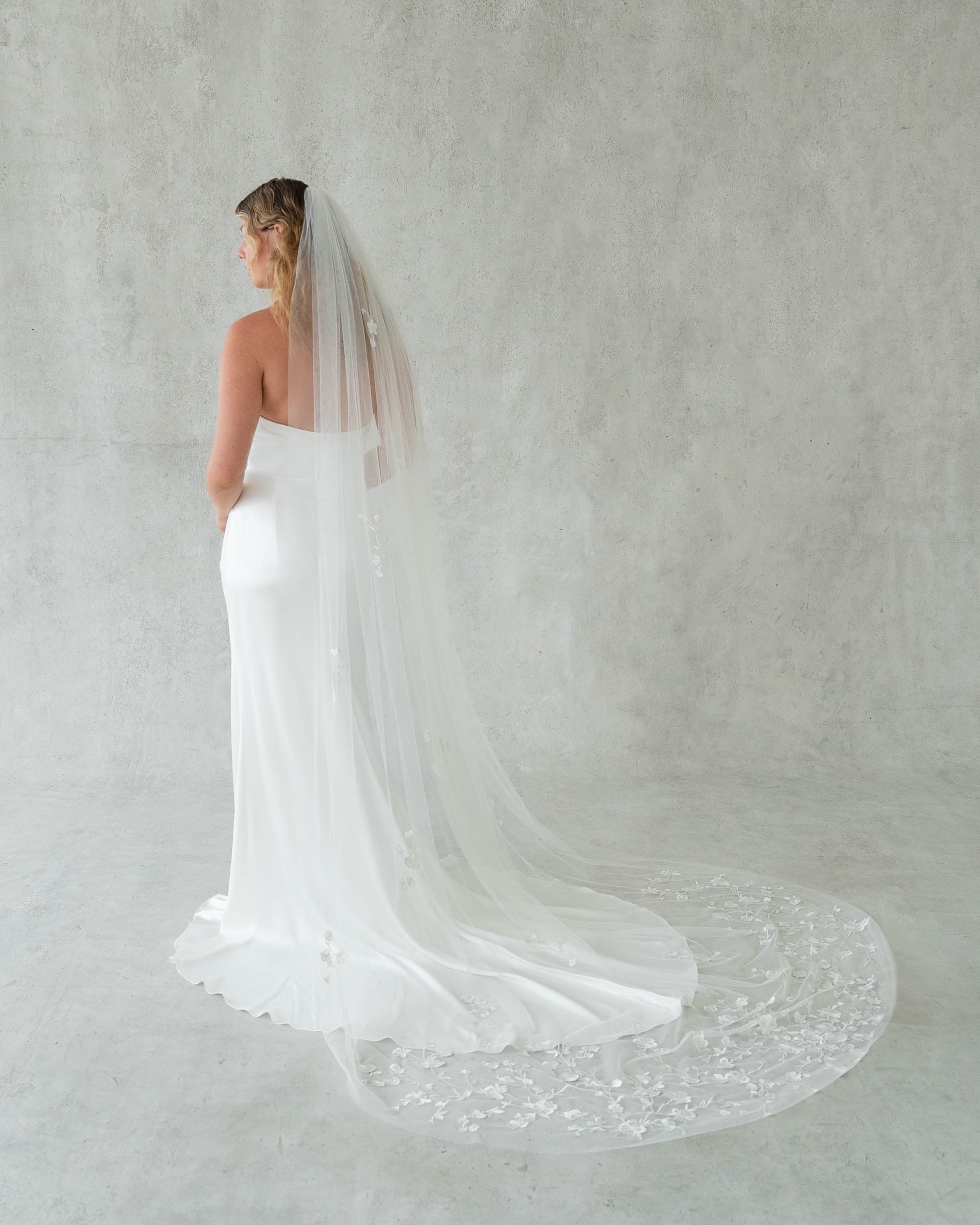 Minetta Veil