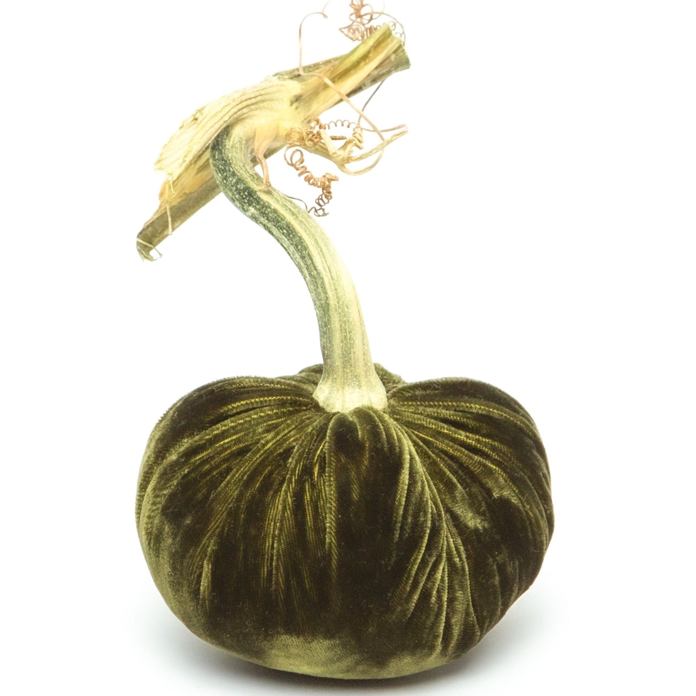 Moss Silk Velvet Pumpkin