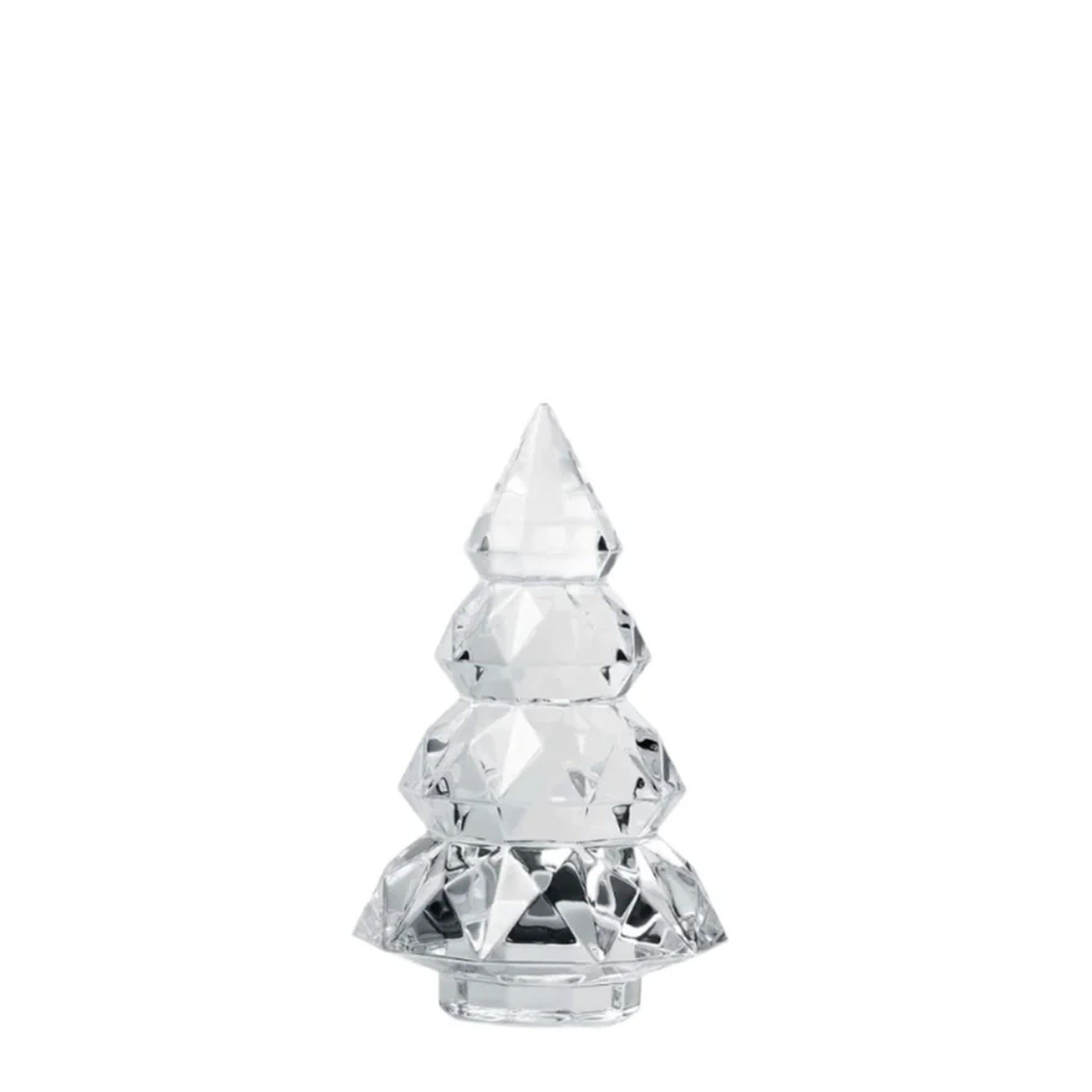 Noel Louxor Fir, Small Clear