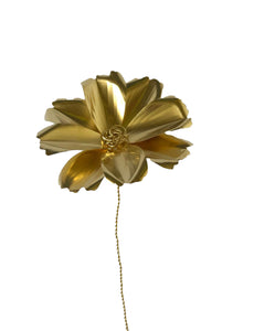 Cosmos Brass Flower