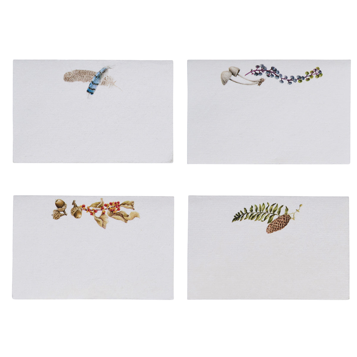 Forest Walk Place Card Assorted in Multi, Set of 12
