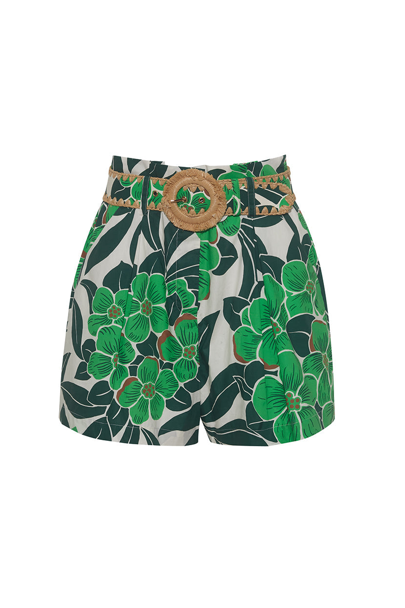 Palmer Shorts in Palm Beach Green