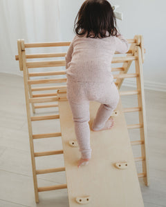 Toddler Montessori Climber