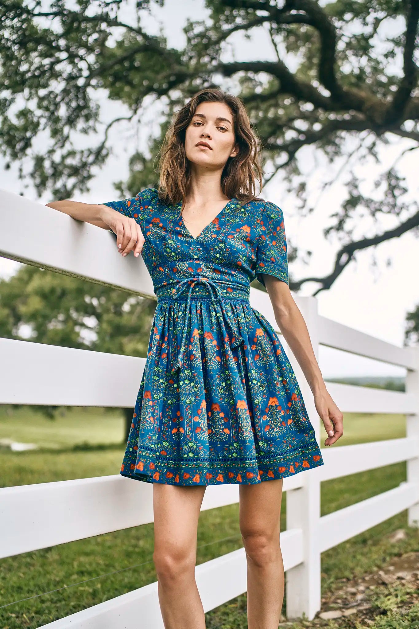 Roan Dress in Midnight Garden