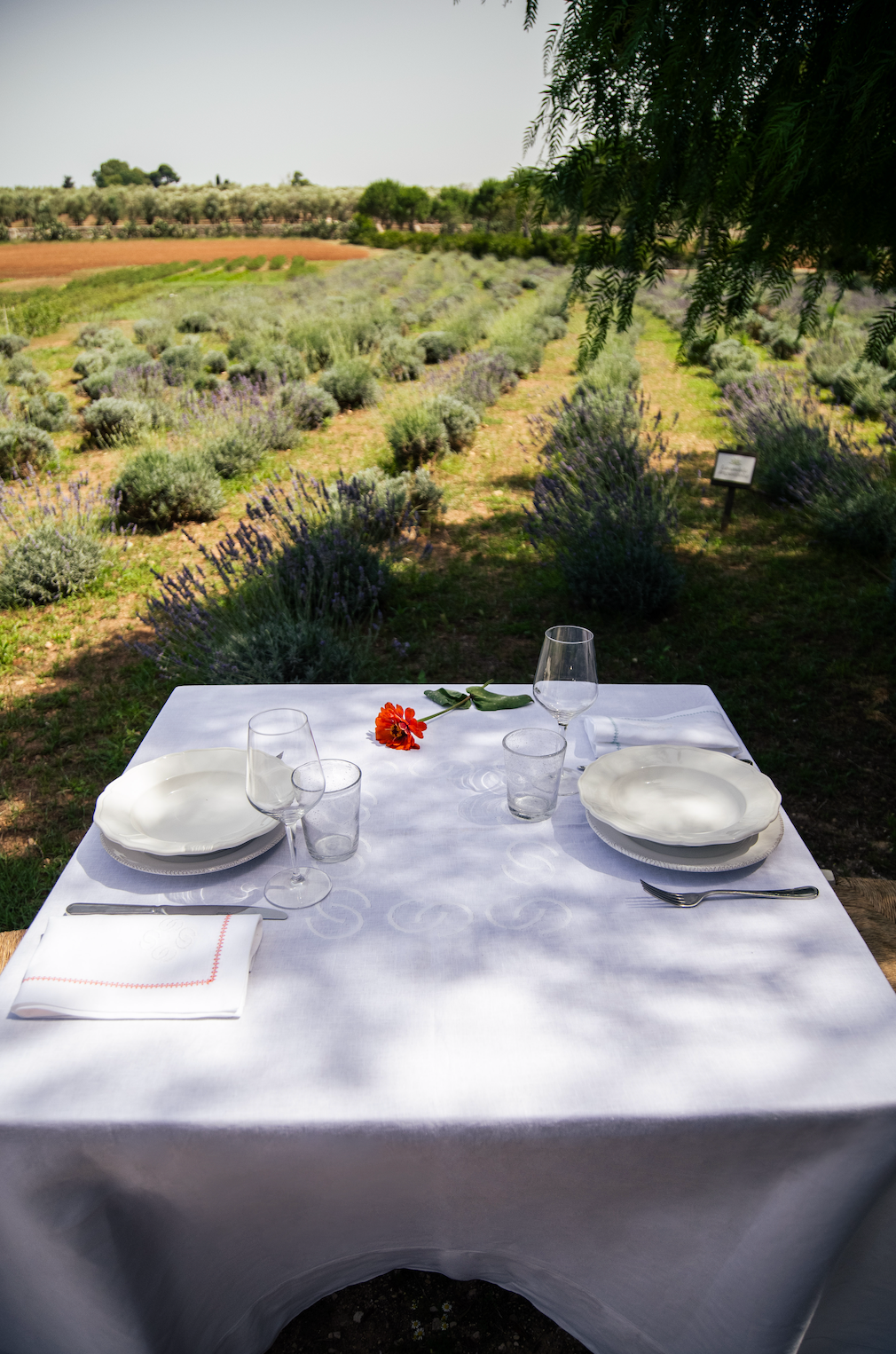 Luci D'Artista Tablecloth