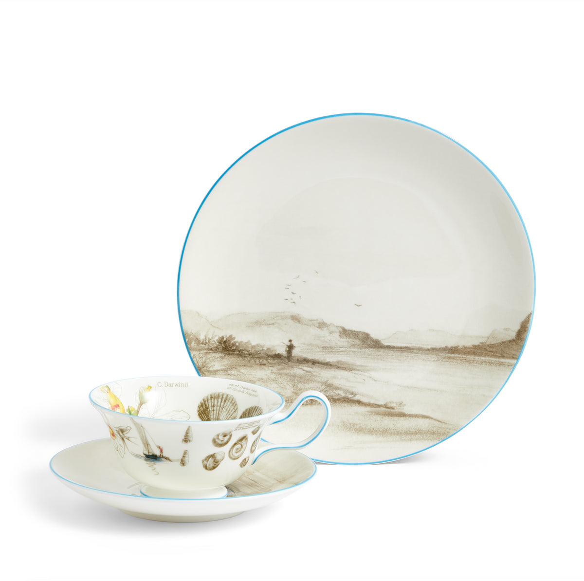 Darwin Voyage of the Beagle Patagonia Teacup Saucer Plate, Set of 3