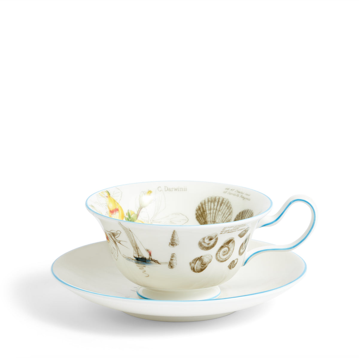 Darwin Voyage of the Beagle Patagonia Teacup Saucer Plate, Set of 3