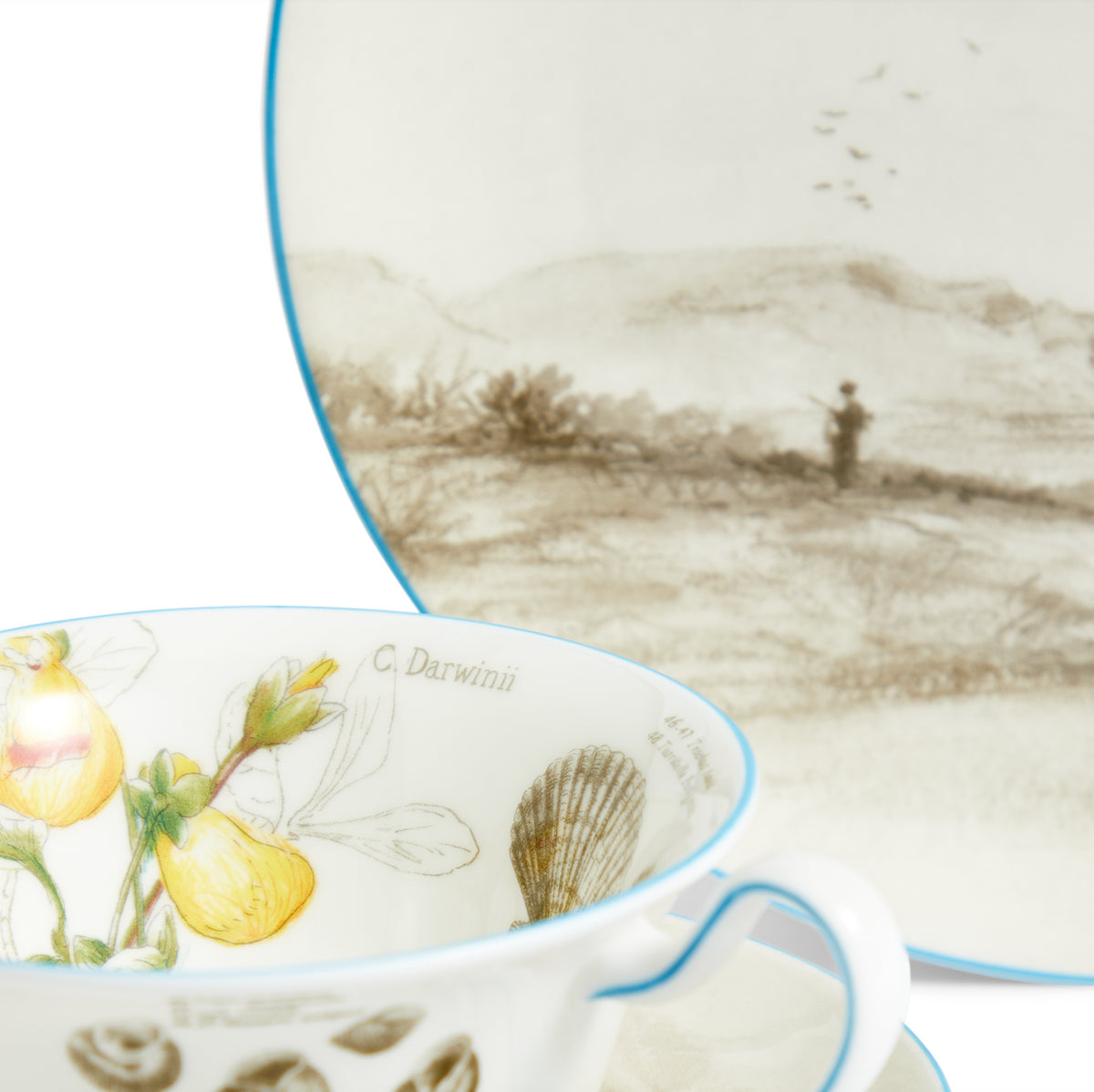 Darwin Voyage of the Beagle Patagonia Teacup Saucer Plate, Set of 3