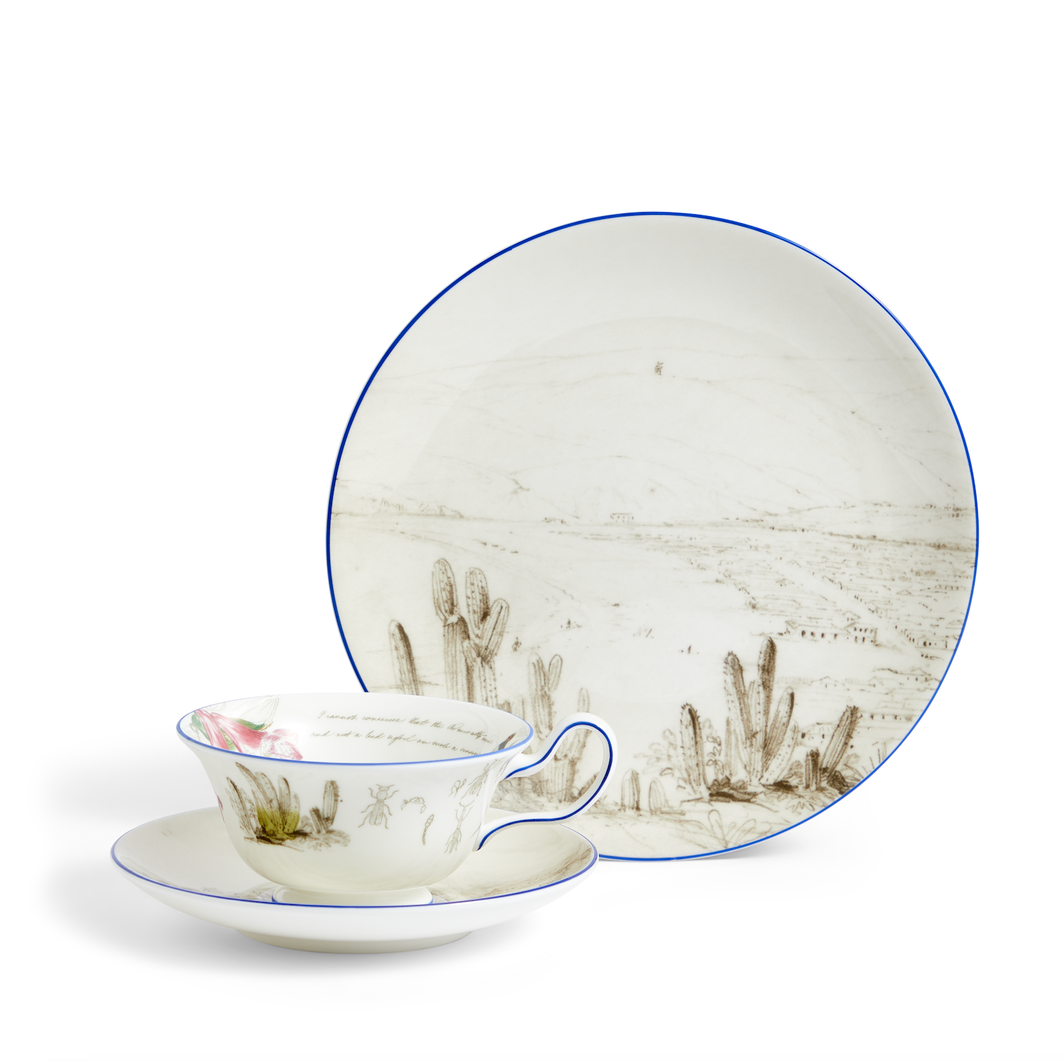 Darwin Voyage of the Beagle Chile Teacup Saucer Plate, Set of 3