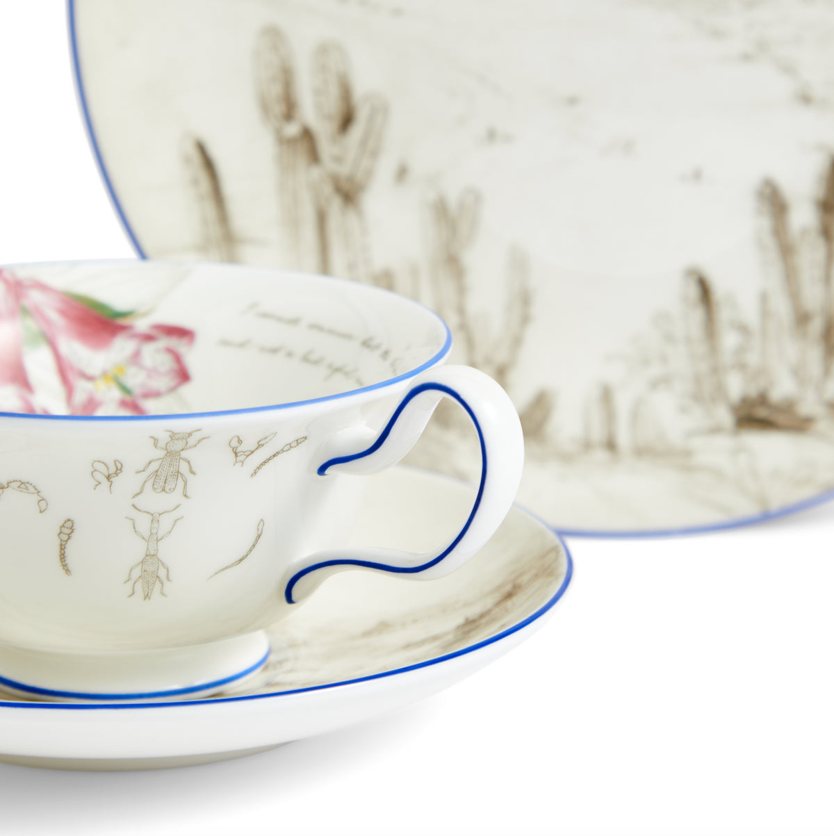 Darwin Voyage of the Beagle Chile Teacup Saucer Plate, Set of 3